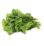 Salad patta - Lettuce Green leaves 100 grams